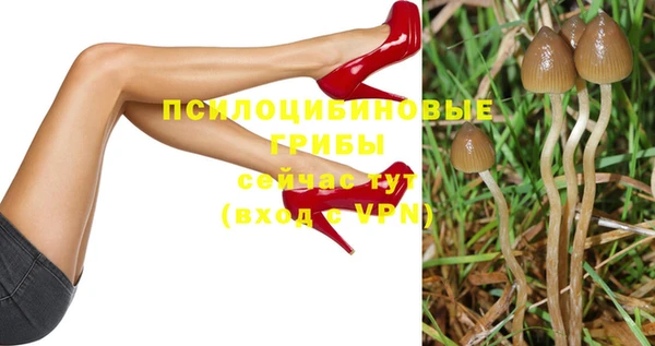 кокс Вяземский