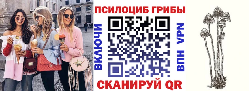 Галлюциногенные грибы ЛСД  ОМГ ОМГ вход  Зима 